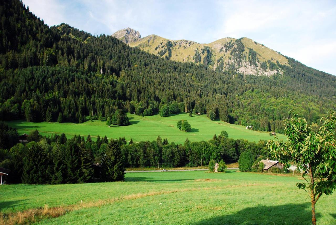 Chalet Cannelle Bed & Breakfast Châtel Exterior photo