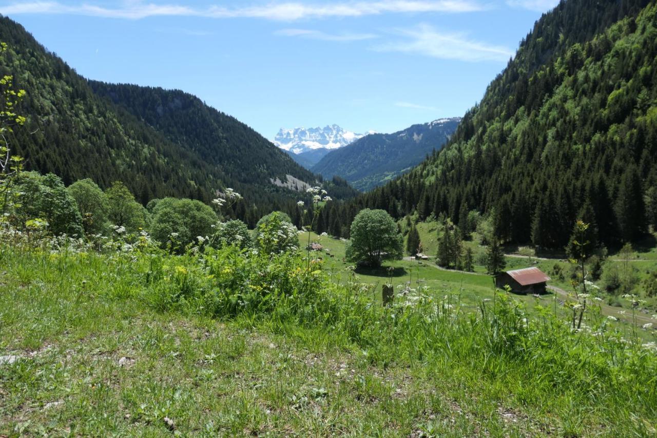 Chalet Cannelle Bed & Breakfast Châtel Exterior photo