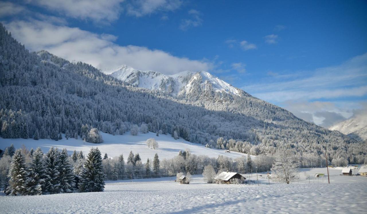 Chalet Cannelle Bed & Breakfast Châtel Exterior photo