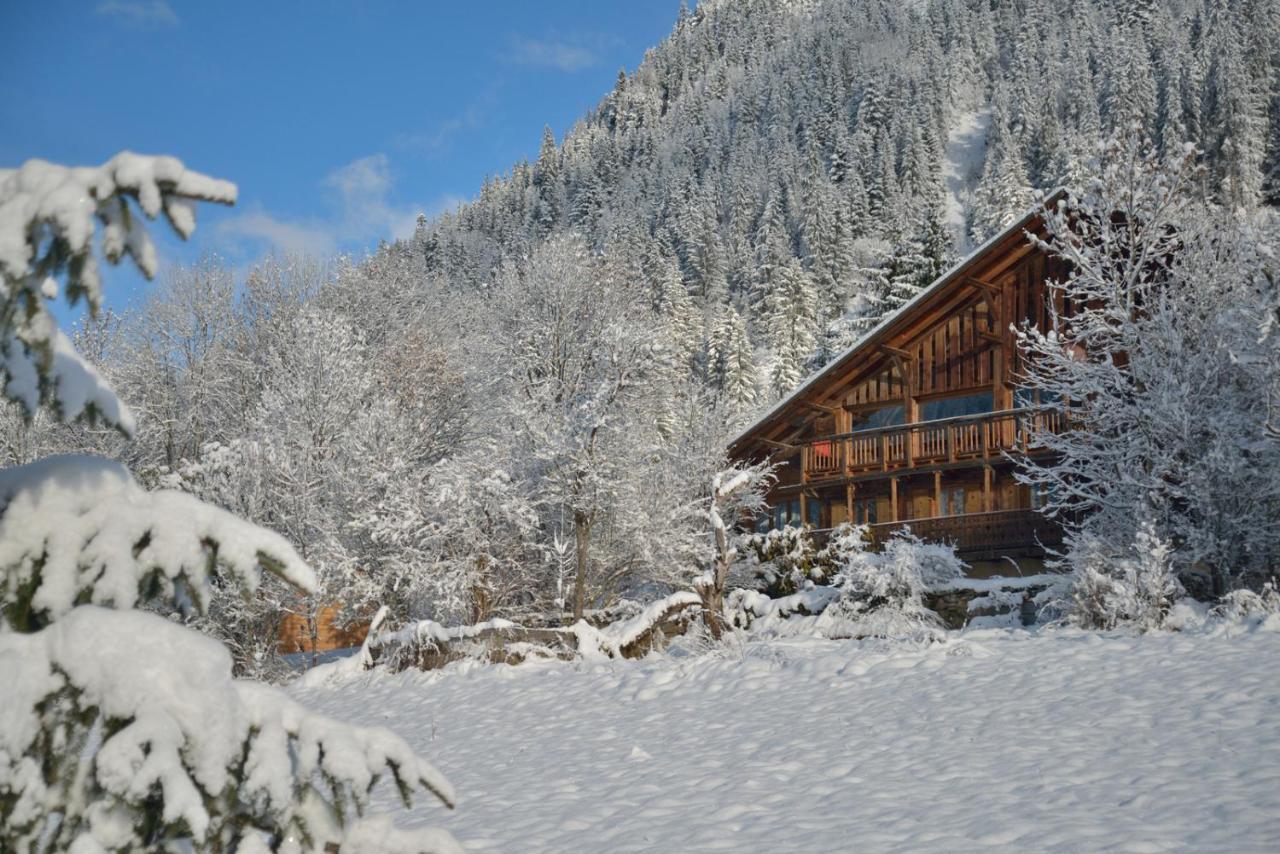 Chalet Cannelle Bed & Breakfast Châtel Exterior photo